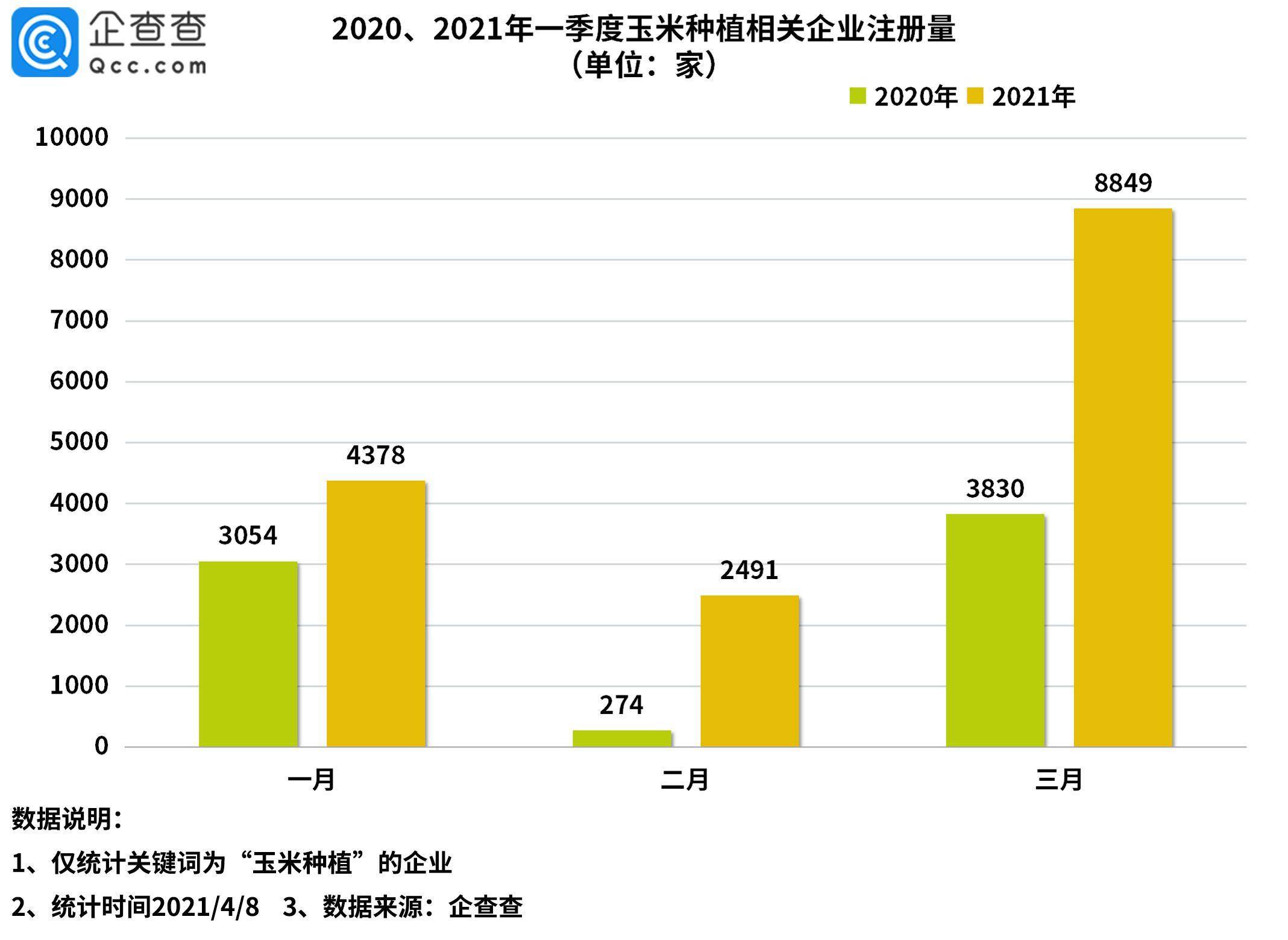 玉米價格創新高一季度我國玉米種植企業註冊量同比增長120