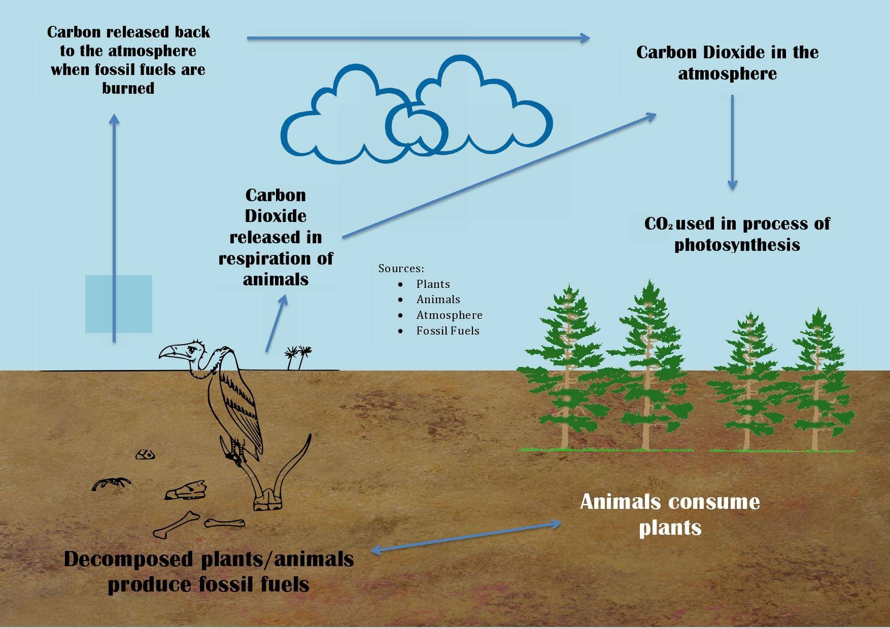 作为自然生态系统的一部分,沙漠的作用远比我们想象中更为重要.