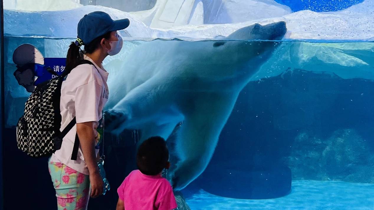 夏日萌趣 | 天津海昌极地海洋公园为北极熊“披萨”9周岁庆生