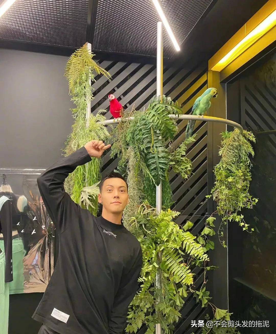 吴磊转型成功?陈伟霆退圈结婚?孔雪儿分手?