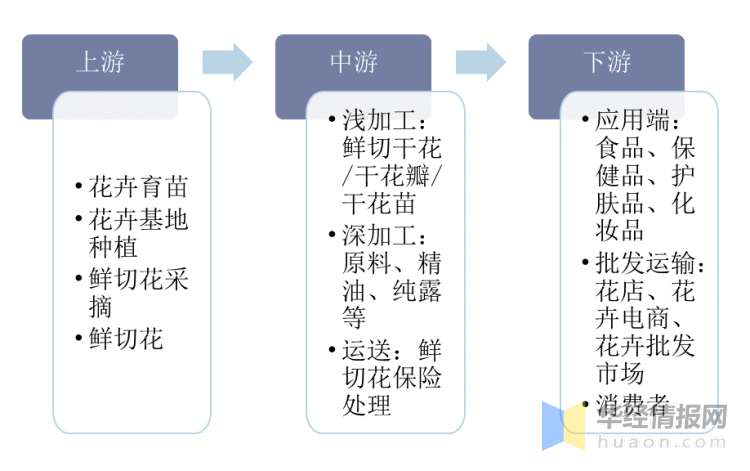 中国花卉行业产业链及投资战略咨询报告_分析_发展_企业