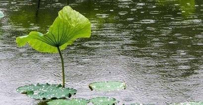 十二地支的第一位,在周易里代表的吐槽是坎卦,那么子水代表什么意象呢