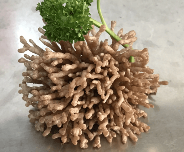 武陵山珍一一龙爪菇_问题_版权_网络