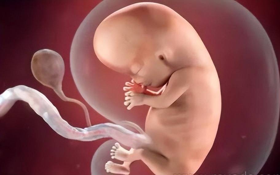 怀孕初期有两个行为影响大,宝妈要格外注意,附怀孕初期＂三注意＂