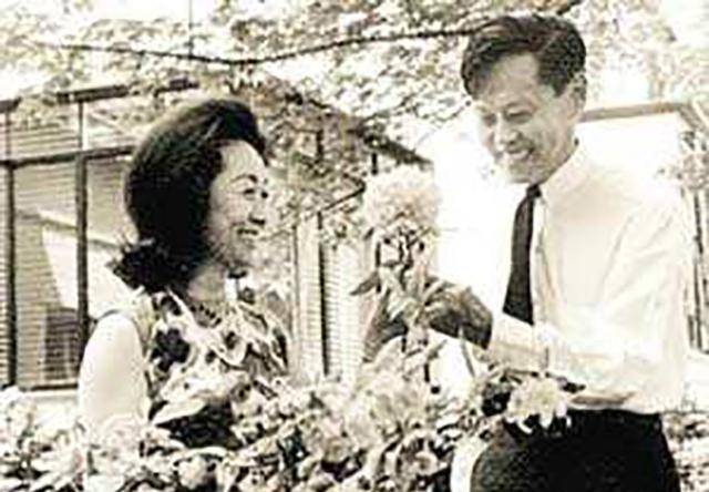 杜致礼有何魅力让杨振宁铭记一生?