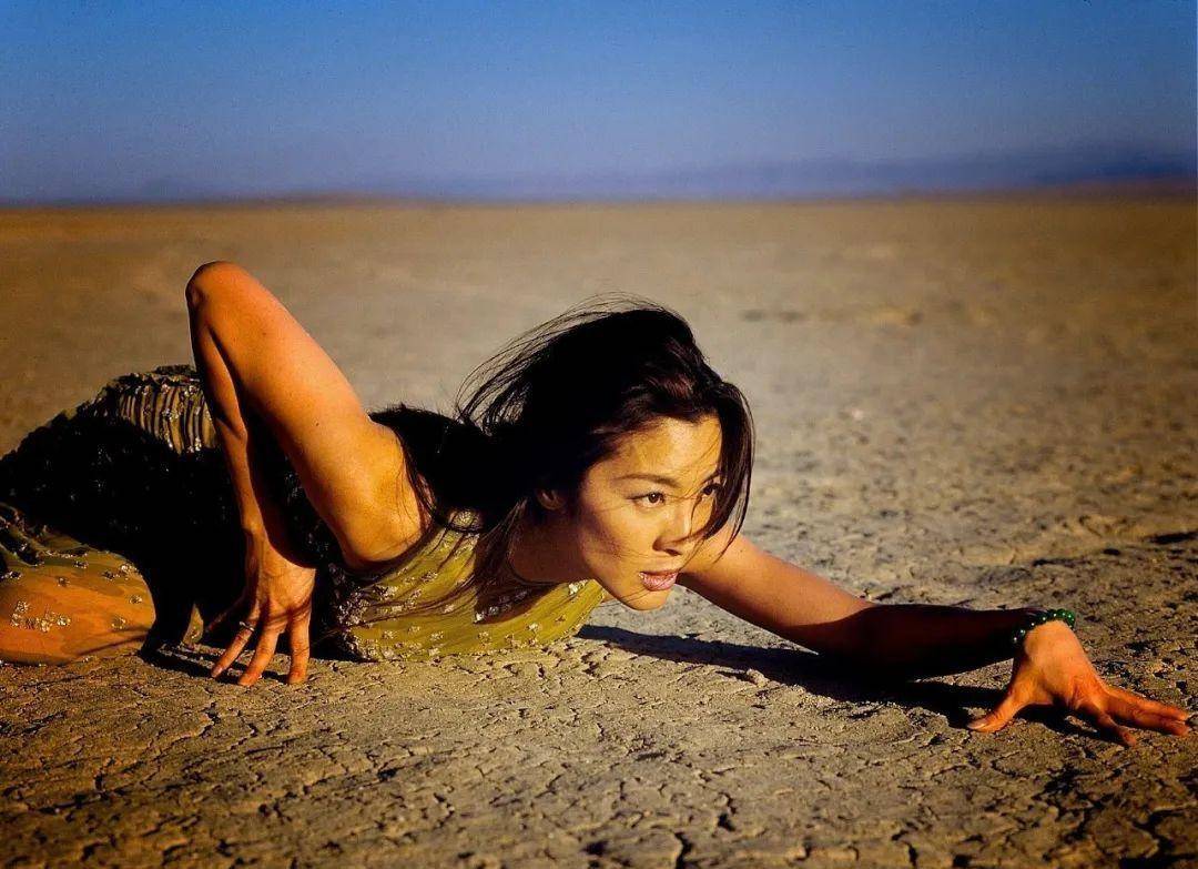 大气的女主——杨紫琼_功夫_气质_形象