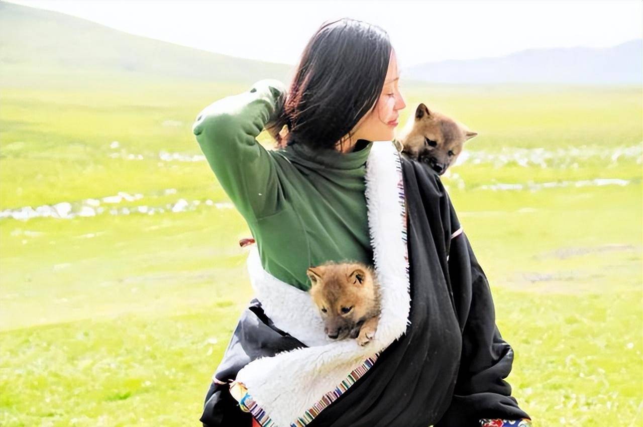 12年前,她母爱泛滥认小狼当儿子,10年后她们母子在草原相认_李微漪