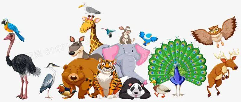 阿里盛行"武侠风",拼多多全是"水果蔬菜",网易花名