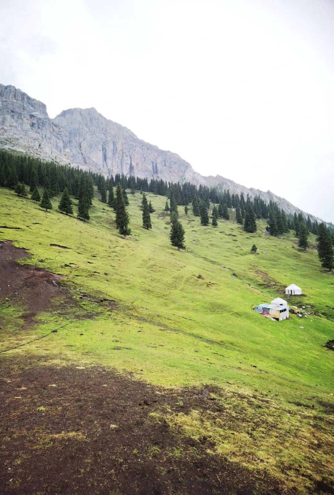 美丽新疆 —— 乌孙山脉白石峰_伊宁_山高岭_游客