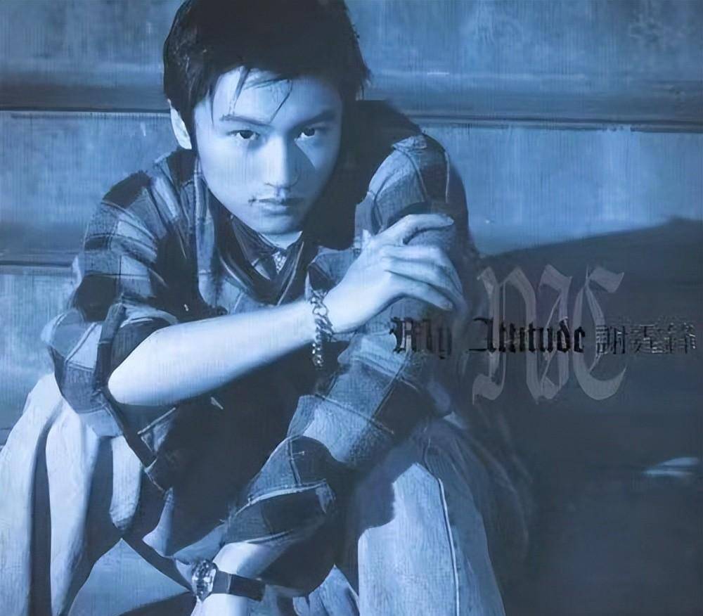 谢霆锋从1997年到2021年的艰辛历程,满满的回忆,网友:想哭_代表作