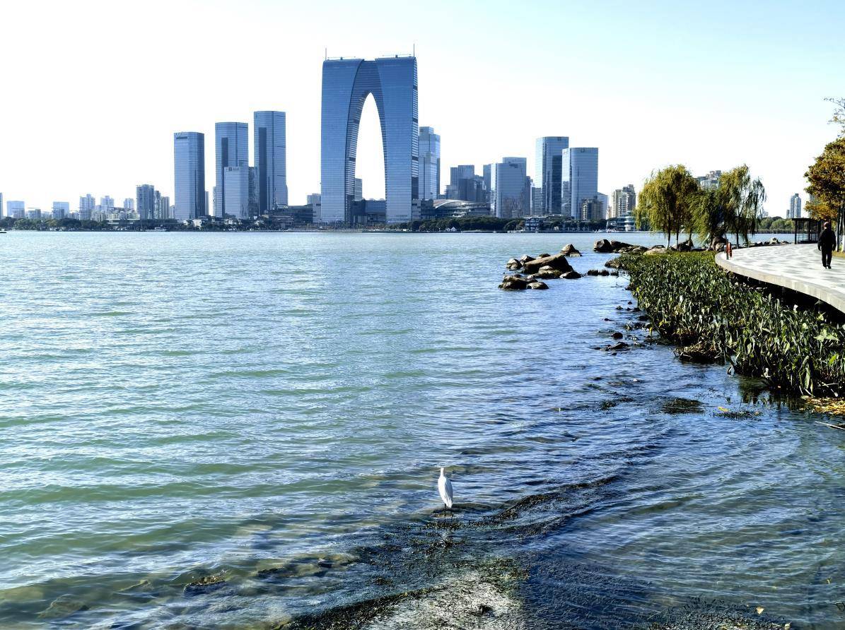 冬日里的苏州园区金鸡湖商务区,一草一木都映射着属于冬天的诗意_湖畔