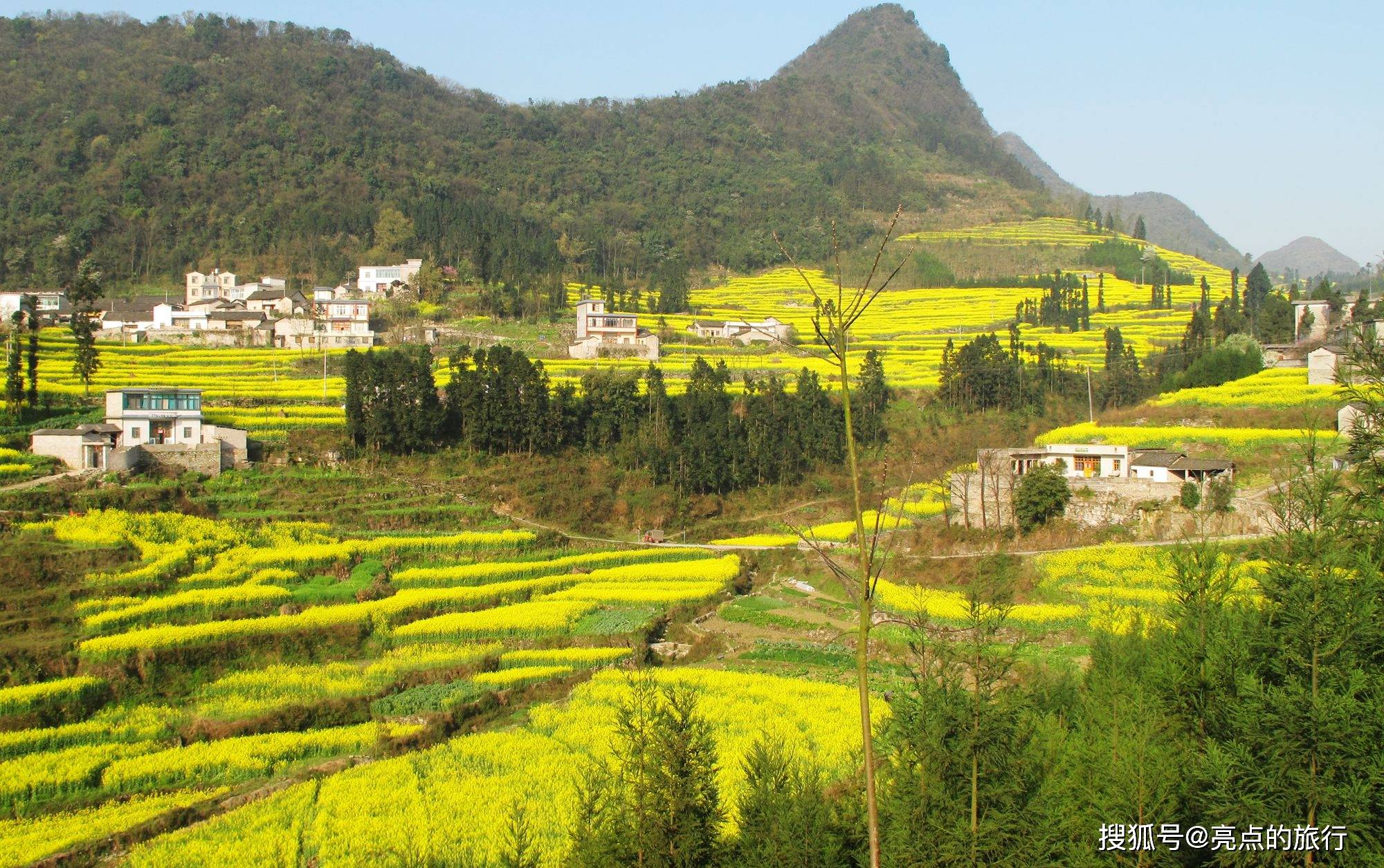 春天的罗平除了油菜花海还有这些好看的地方不能错过,附游玩攻略_九龙