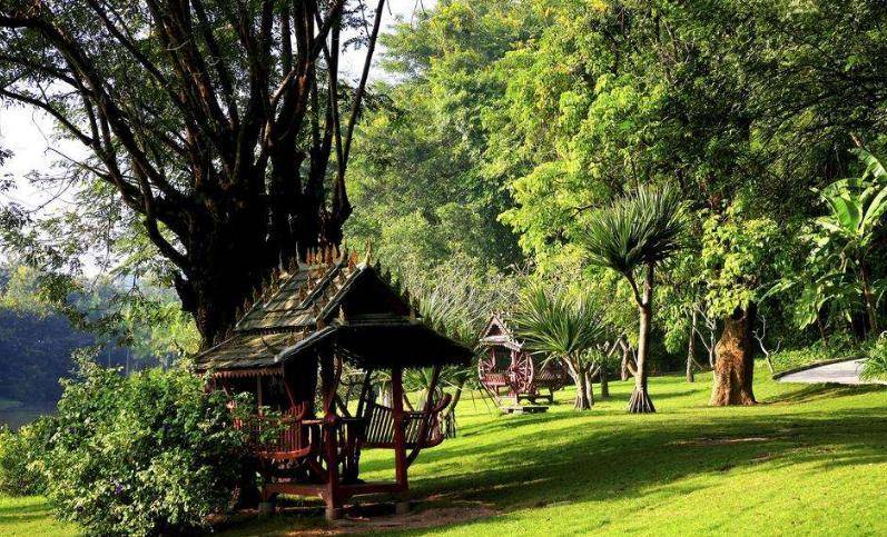 云南公园界钉子户,屹立西南大地1300年,被称傣族"后花园"_景观_被称为