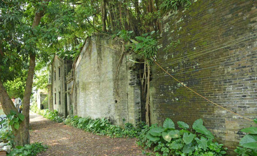 在繁荣的广东大湾区,有一座神秘的无人村_邓边_开平_村落