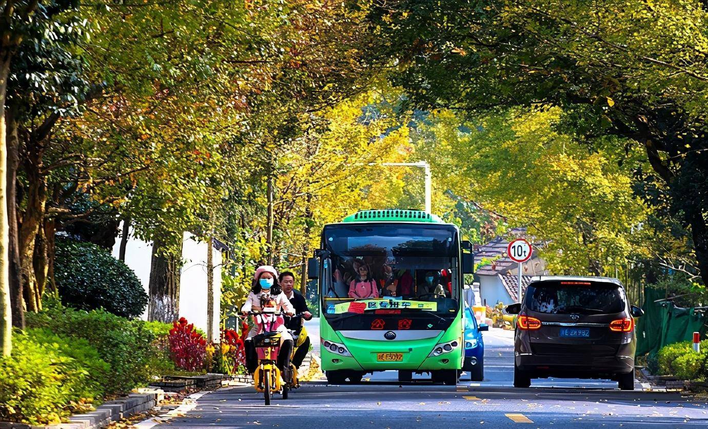 长兴,游太湖南岸逛千年古镇,幸福满满的两天一夜_安村_码头_泗安镇