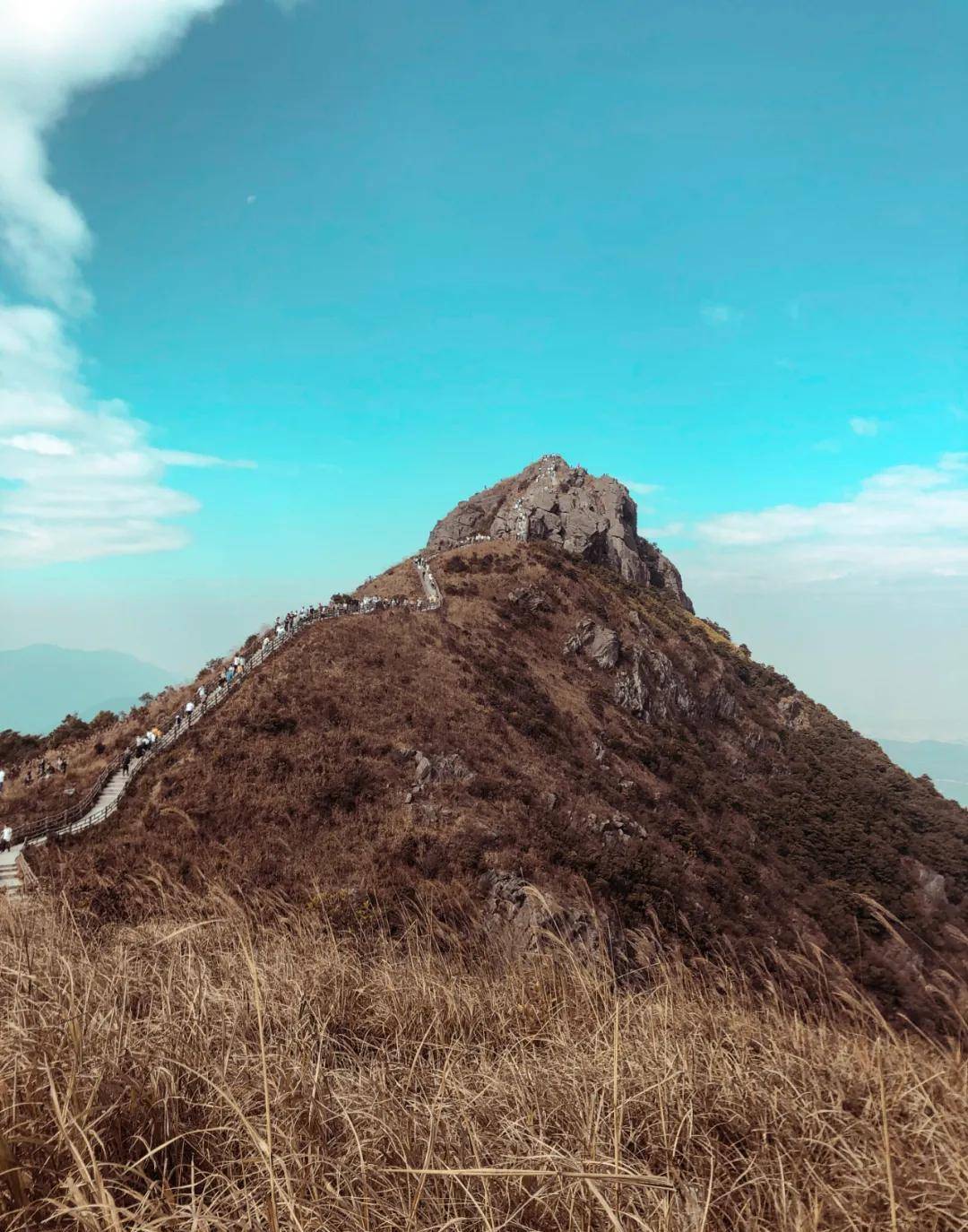 雙峰連登,東莞銀瓶嘴 惠陽白雲嶂,看漫山金色芒草蕩_活動_出發_費用