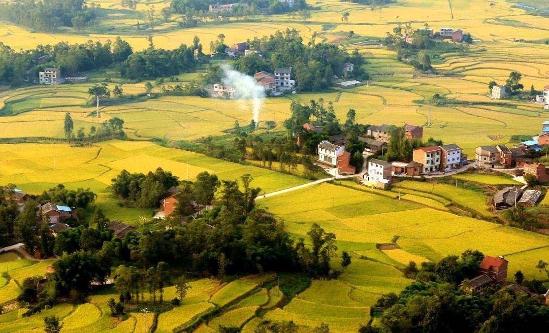达州一县有望腾飞,多年入选百强县_大竹县_历史_风景
