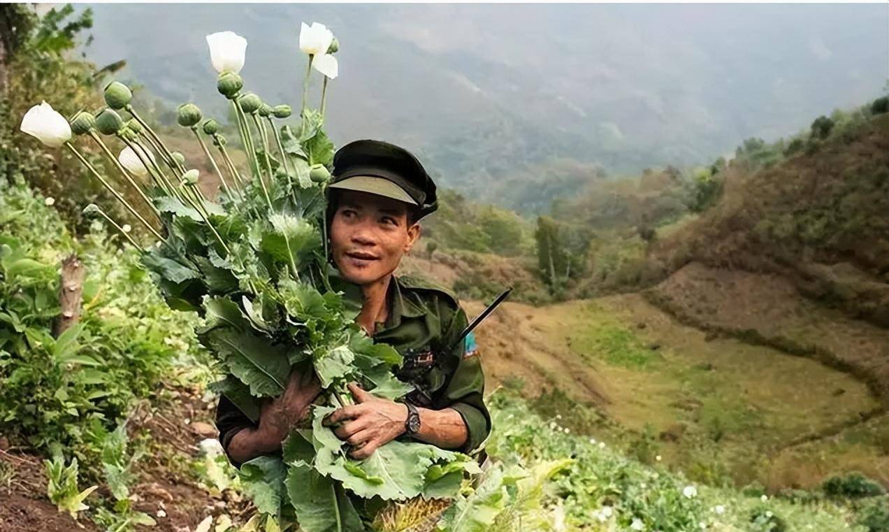 缅甸_张苏泉_中国