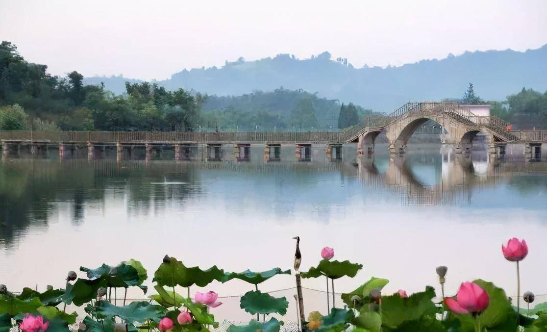 莲花湖湿地公园根据功能性区分了很多的区域,有专门的的湿地荷花湖