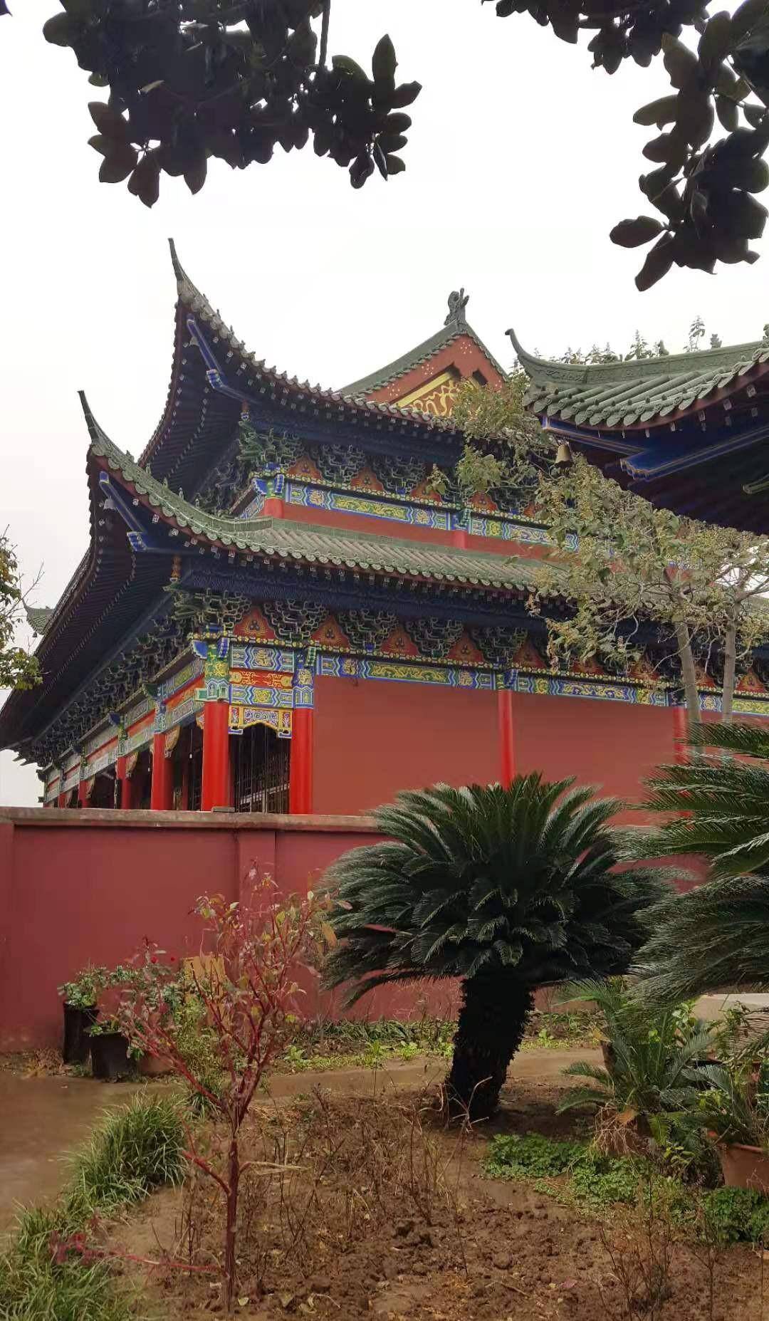 禅堂前的小菜园透露出出家人的辛苦和清净氛围