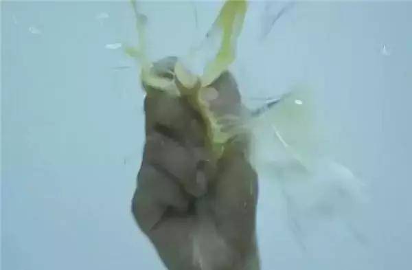 原创
            他是“反派专业户”，《七龙珠》拿他做原型，曾一脚踢断成龙一颗牙3