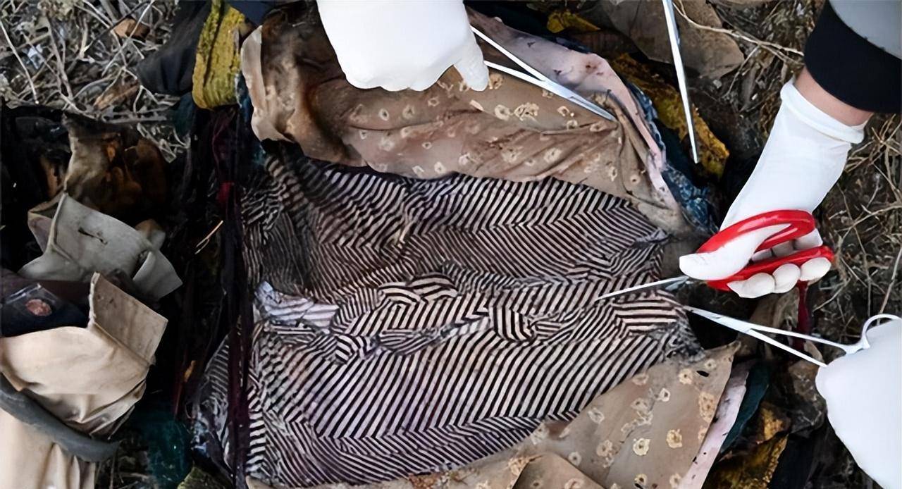 1993年,农妇在田地里看到"死猪",最后竟牵扯出一起