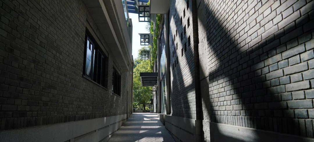 成绩_综合_专业