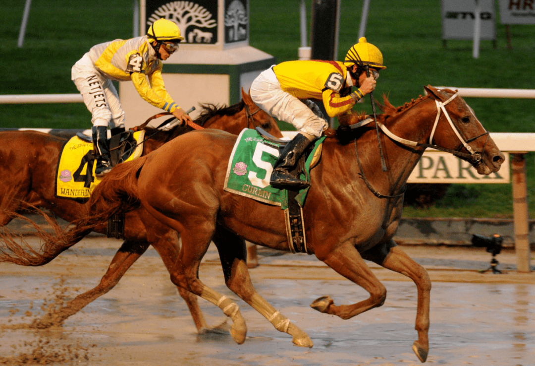 21世纪美国最伟大的10匹赛马_航线_信雅达_战绩