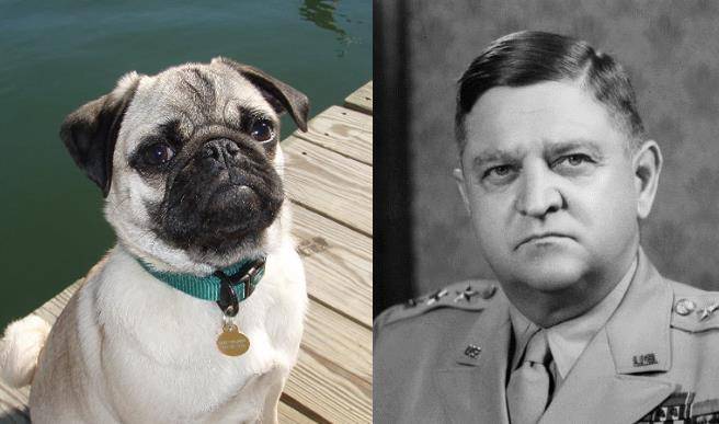 还以他的名字为m-41轻型坦克命名,称这种性能良好的坦克为"沃克虎头狗