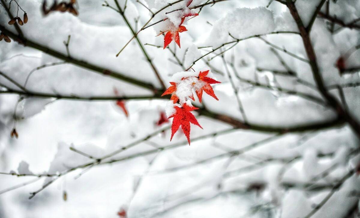 運用雪景拍攝人像,如何拍攝出唯美的感覺?