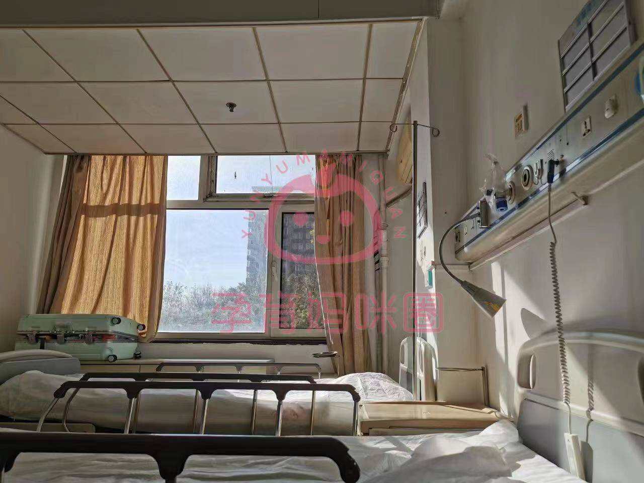 包含北京市海淀医院外籍患者就诊指南黄牛跑腿号贩子挂号的词条