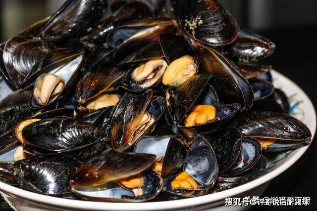 为什么禁止食用海虹图片