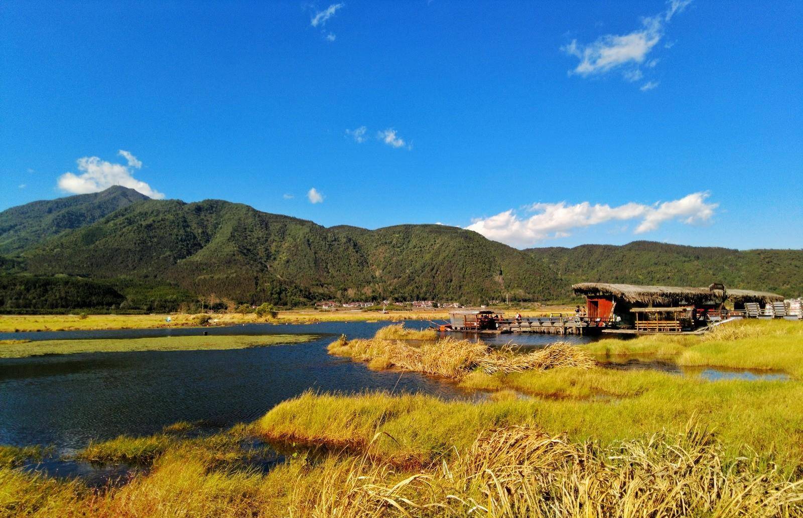 腾冲北海湿地确实奇异，水草根部交织长在一路，浮在水面好像草岛