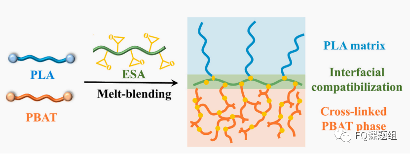 川大:通过界面增容和动态硫化制可降解pla/pbat共混物_应用_分子_材料