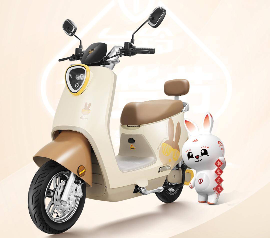 台铃第七届年货节打响热销第一战_终端_主题_系列