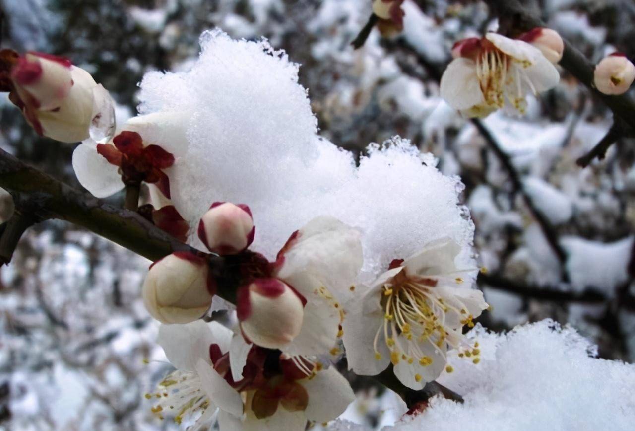 的天,别说是半夜醉倒在路边会有被冻死的危险,就是这晴天白日也难说吧