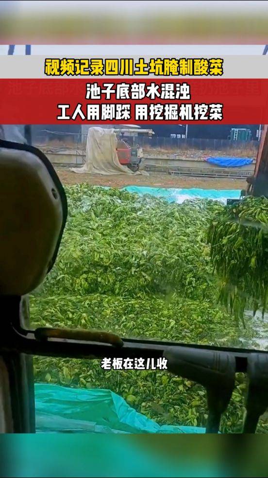 土坑腌制图片