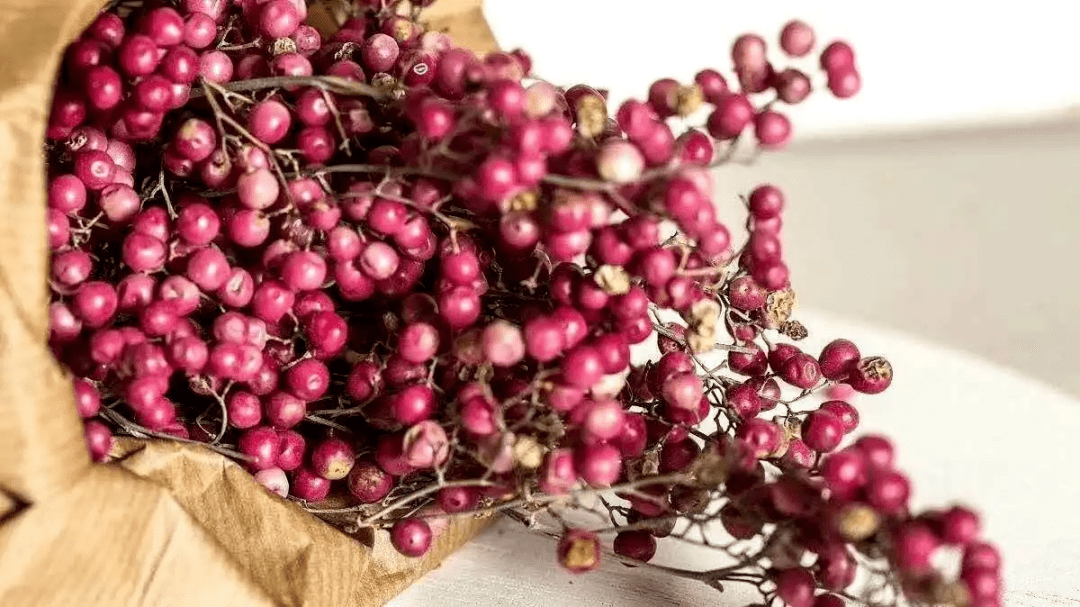 英文名:pink pepper拉丁文名:schinus molle植物科屬:漆樹科 肖乳香屬