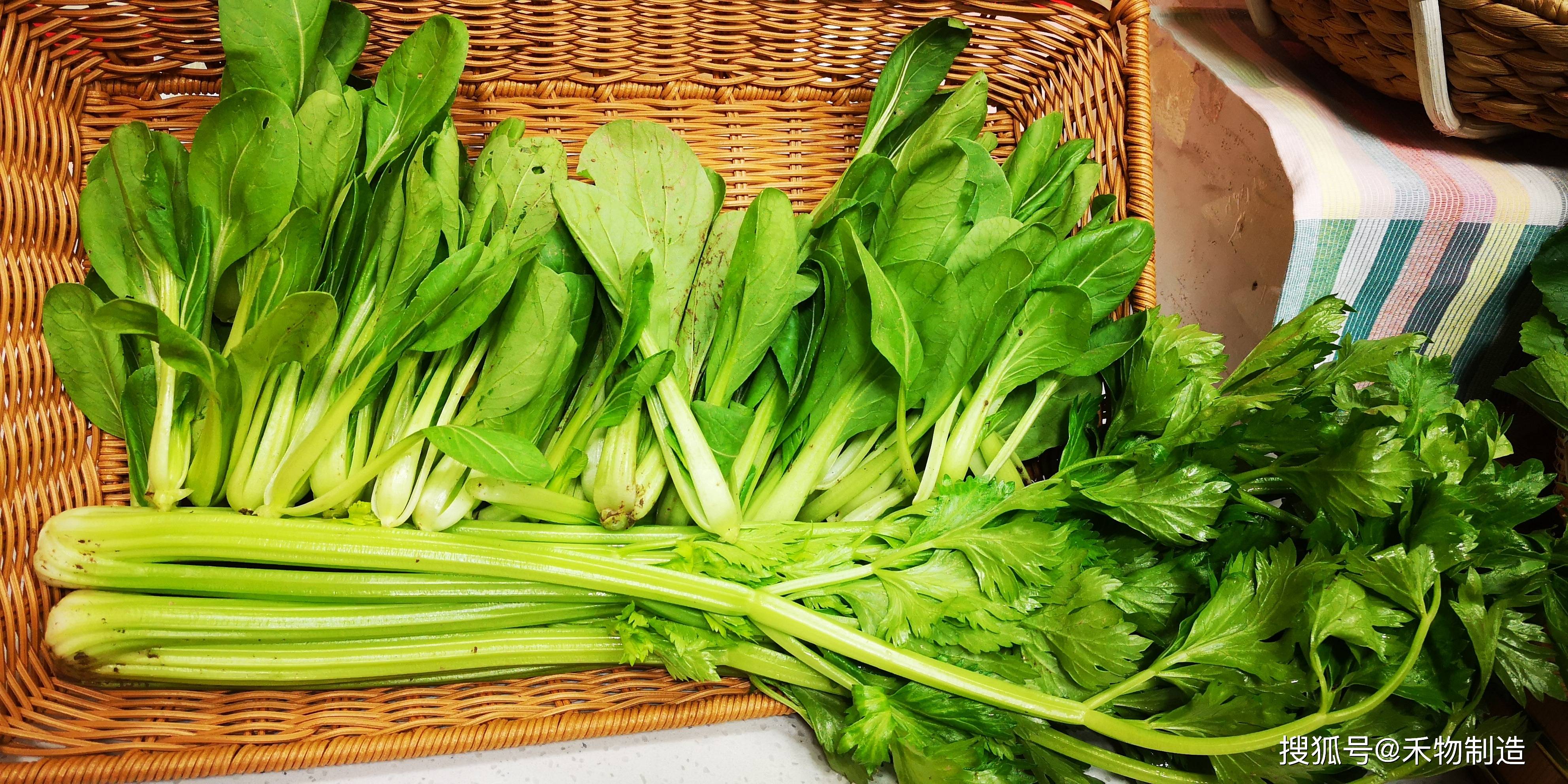 有小白菜,油菜,芹菜,心裡美蘿蔔,紫菜頭,鳳梨蘿蔔,紫白菜,黃瓜,黃心