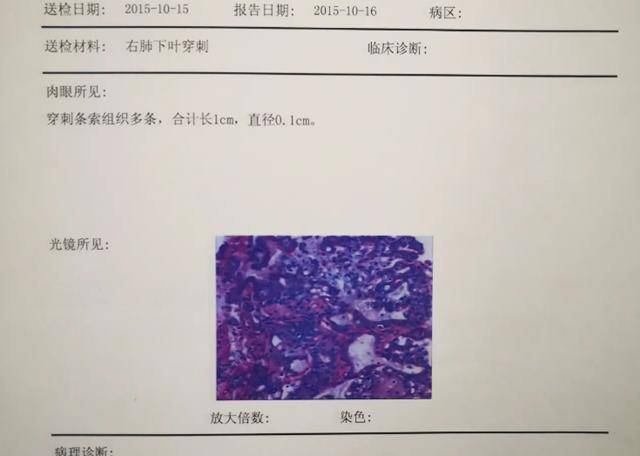 虎子为证清白晒出病例