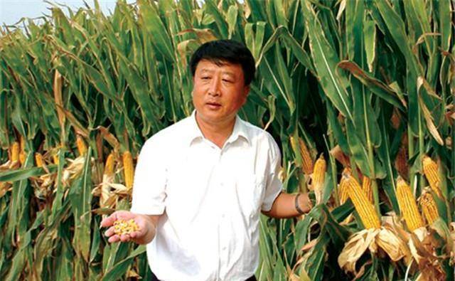 父李登海:决心为国家增粮千亿斤,开创玉米高产道路