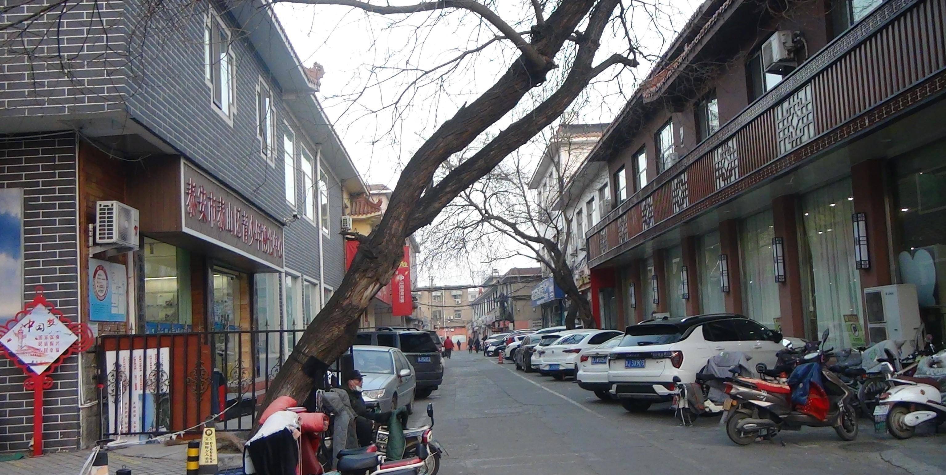 泰安一老街因唐朝寺院得名,古韵悠长,为何街名仅220年历史?