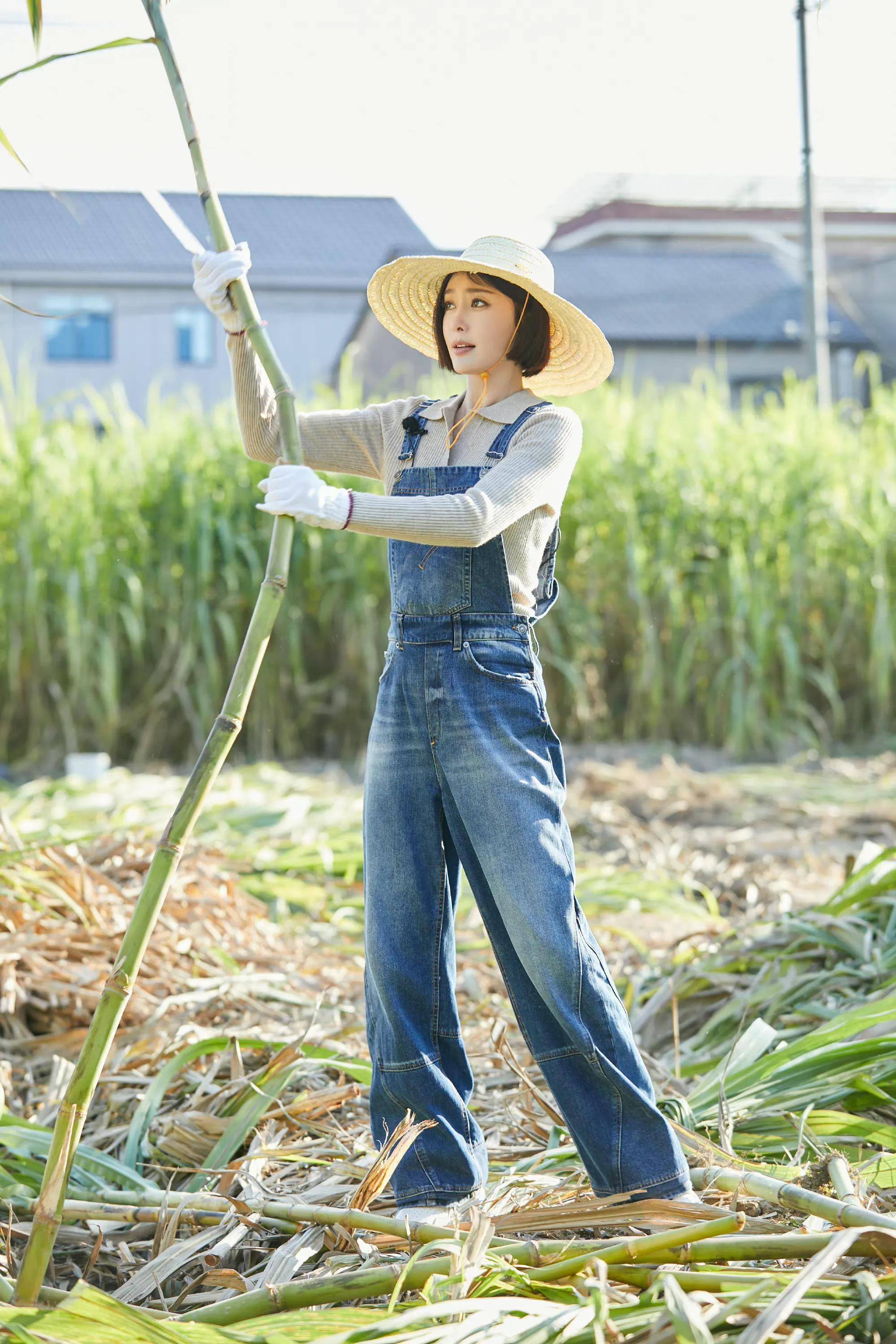 秦岚节目里砍甘蔗,身穿针织衫 背带裤年轻靓丽,完全不像43岁_效果