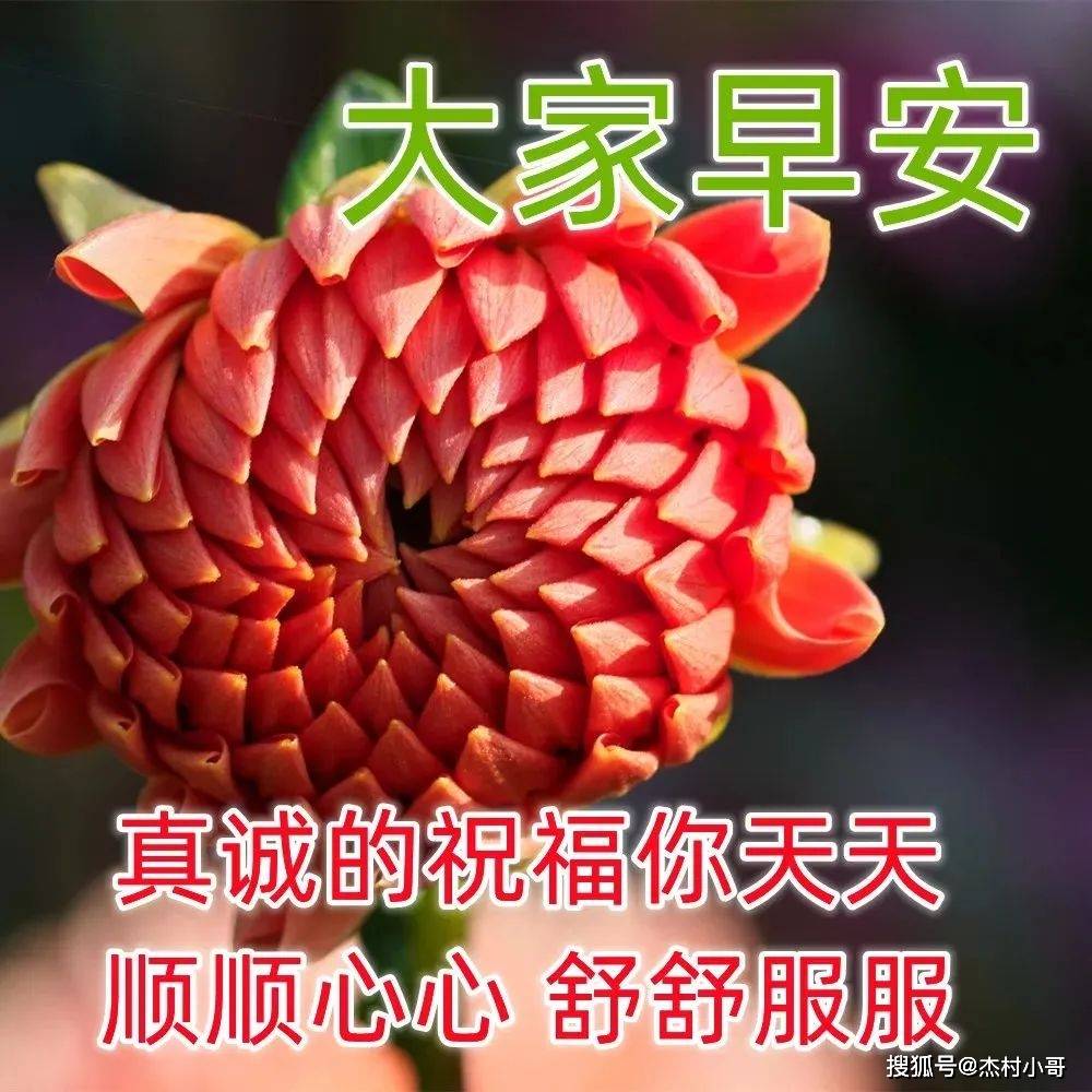 1月9日早上问候非常漂亮的微信表情包,微信早上好表情动态图片大全