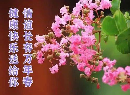 早上好祝福语大全2023年1月16日星期一农历腊月二十五,壬寅年 癸吃侣