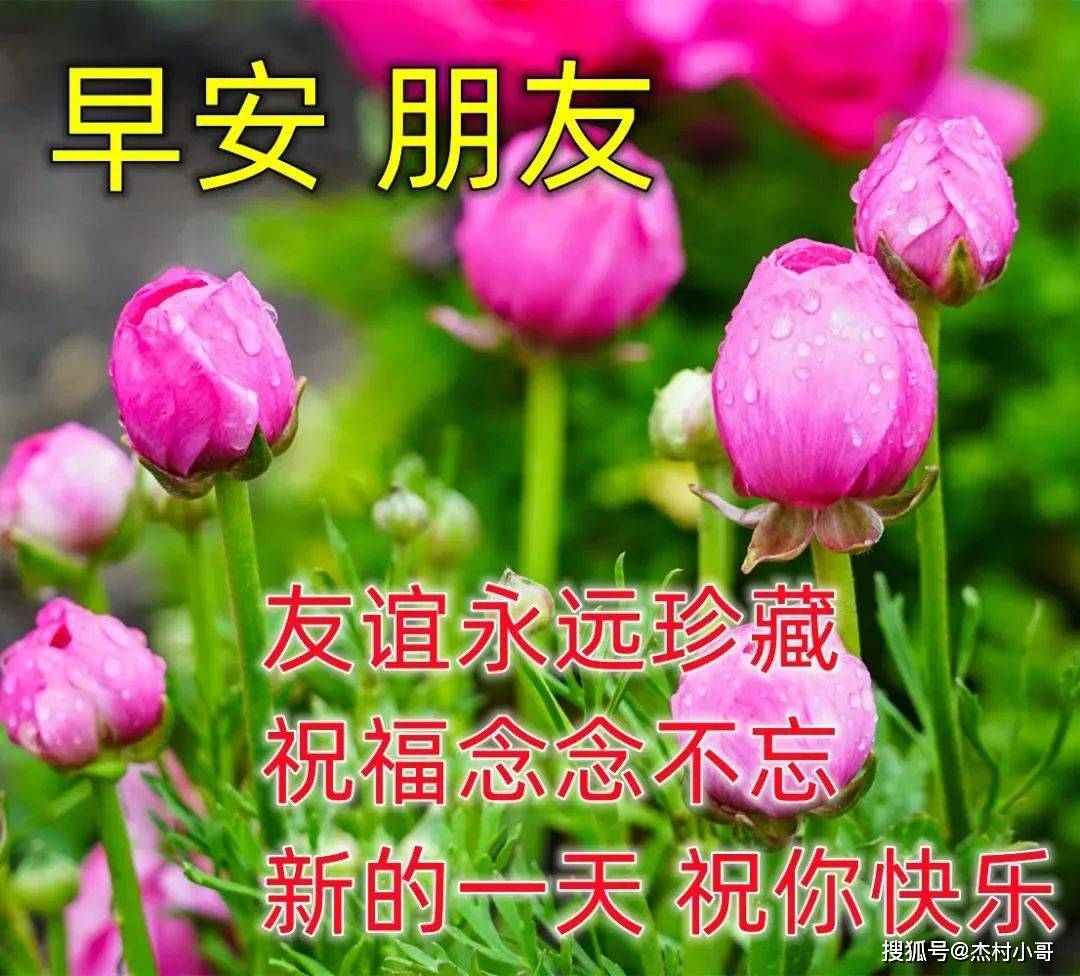 12张冬季腊月早安图片带字推荐,早上好问候语图片_人生_朋友_生命