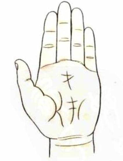 金花印纹掌纹像官印的形状.