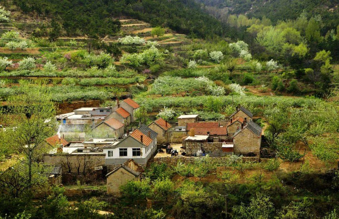 (乡村旅游重点镇)名单公布_街道_文化_风景