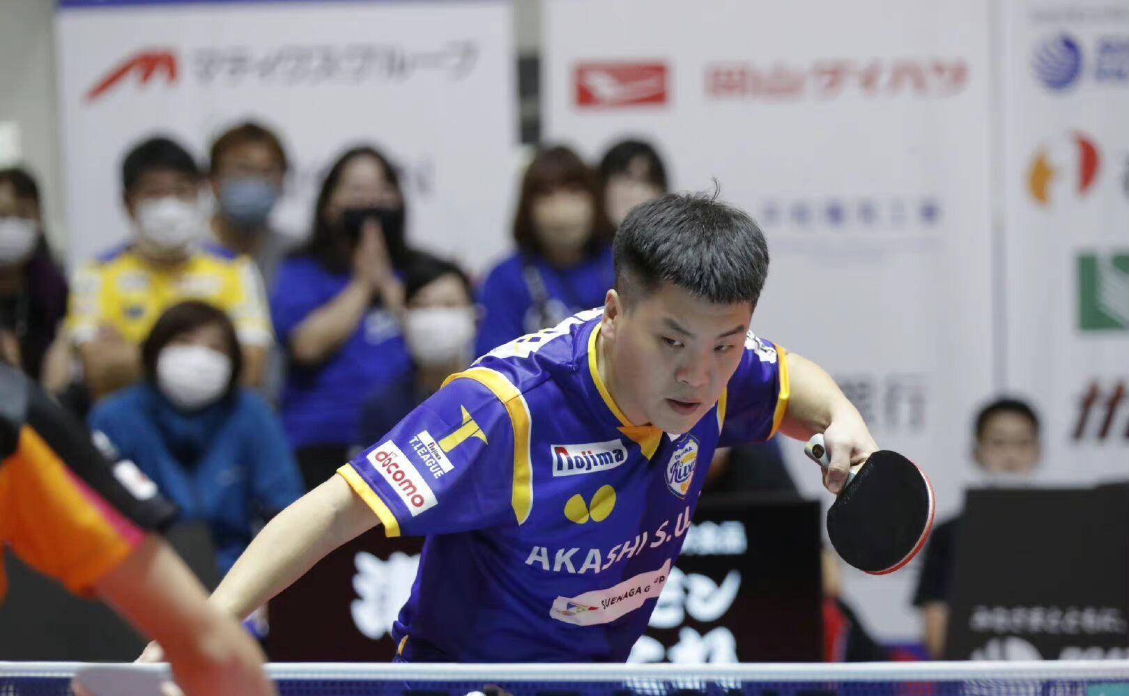 12胜2负!国乒39岁世界冠军再获殊荣,郝帅当选日本联赛mvp球员