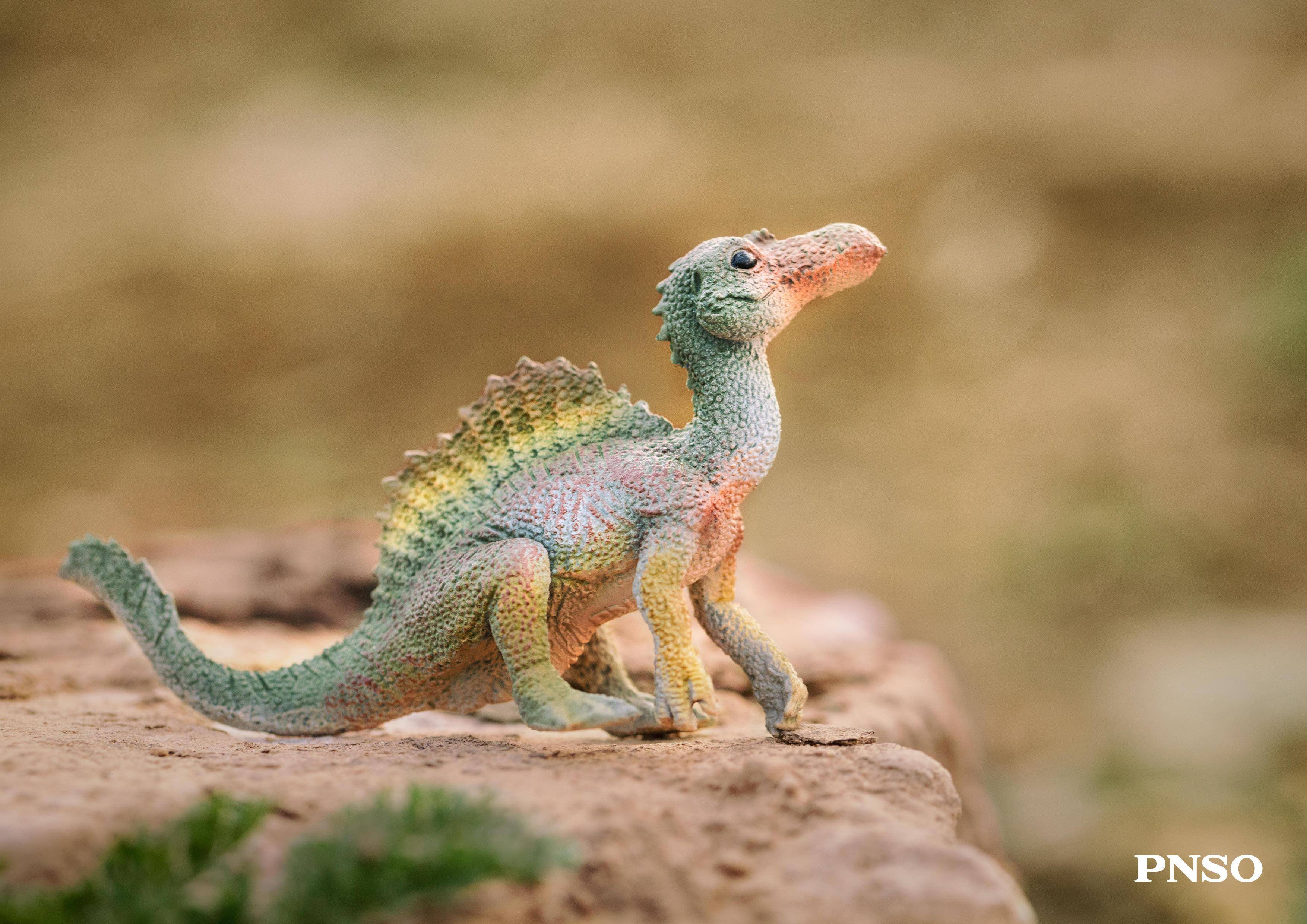 pnso模型摄影:48只小恐龙_角龙_杜克_虔州